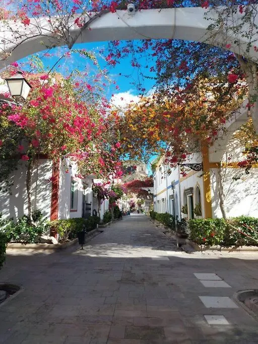 Vv Timon Apartment Puerto De Mogan 0*,